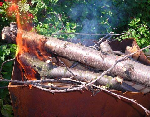 Шашлык обычно жарят на углях, полученных из фруктовых деревьев
